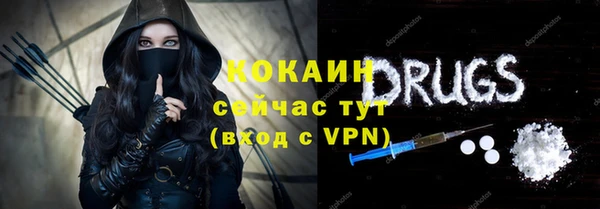 молекула духа Медногорск