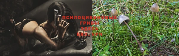 молекула духа Мегион