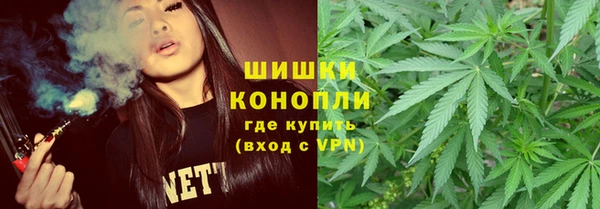 молекула духа Медногорск