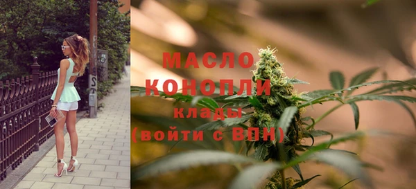 молекула духа Медногорск