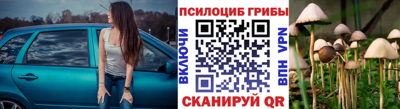 Купить закладки  Мурино  Псилоцибиновые грибы мухоморы 