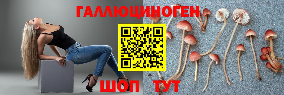 Мурино  Галлюциногенные грибы мухоморы  Вход с VPN 