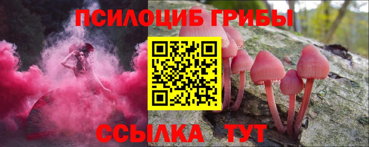 Галлюциногенные грибы Cubensis  Мурино  Галлюциногенные грибы мицелий 