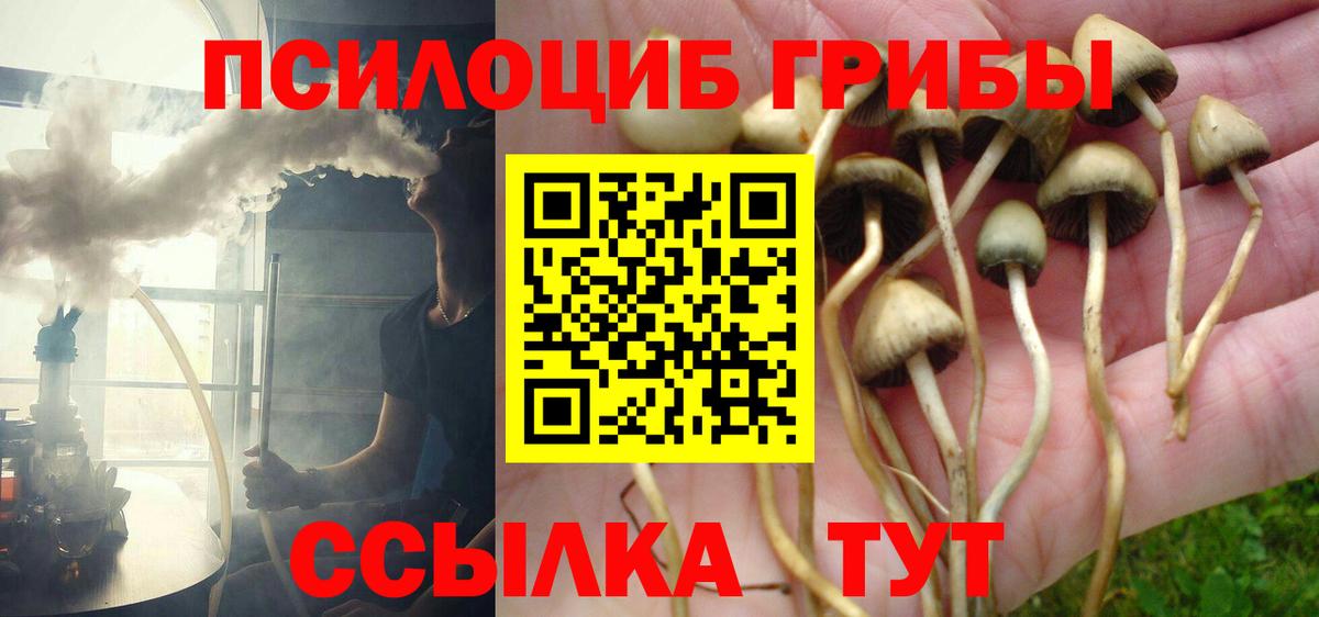 Псилоцибиновые грибы мицелий Мурино