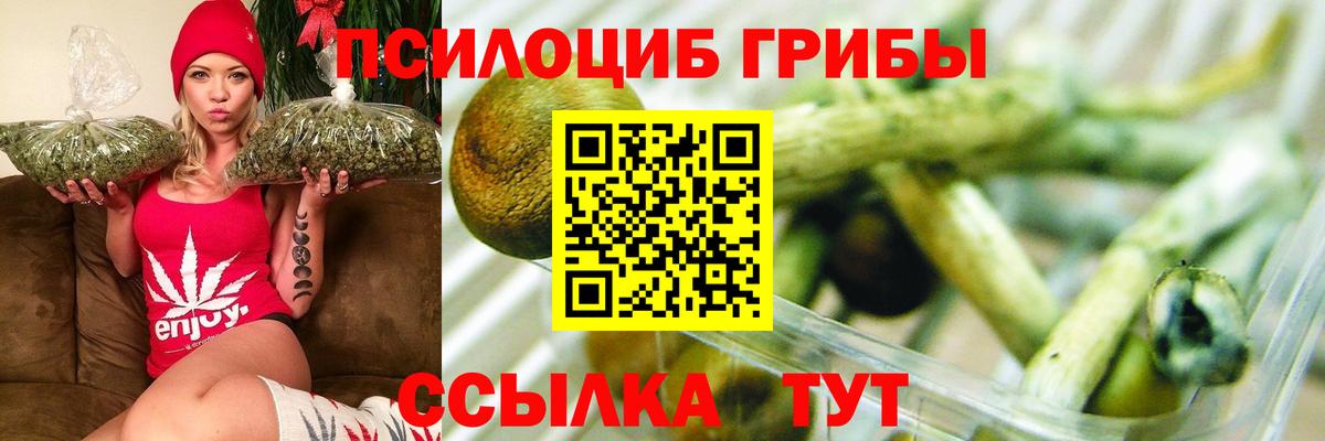 Галлюциногенные грибы мухоморы Мурино